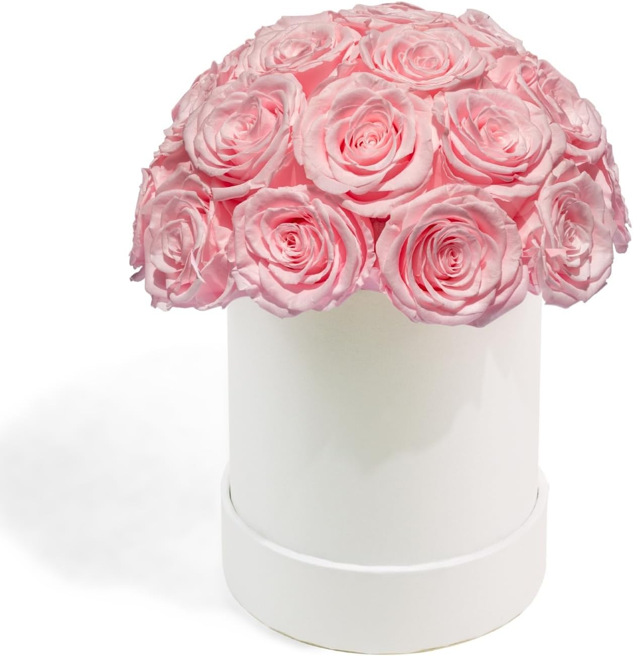 27 Preserved Roses in Round Dome Shape, Mother’s Day Real Forever Flowers Rose B