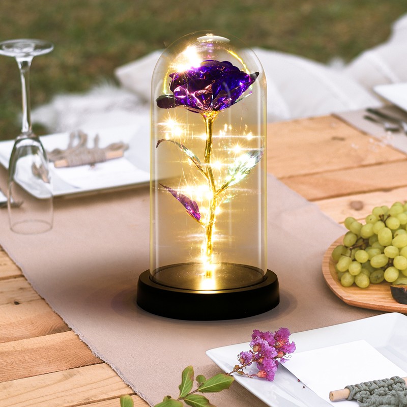 Enchanted Eternal Rose Flower In Dome Glass LED Night Light Anniversaries Gift