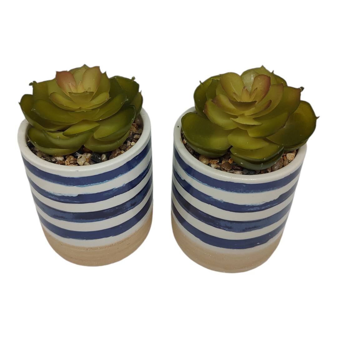 Set of 2 Faux Succulents In Ceramic Pots Rustic Coastal Small Artificial Plants