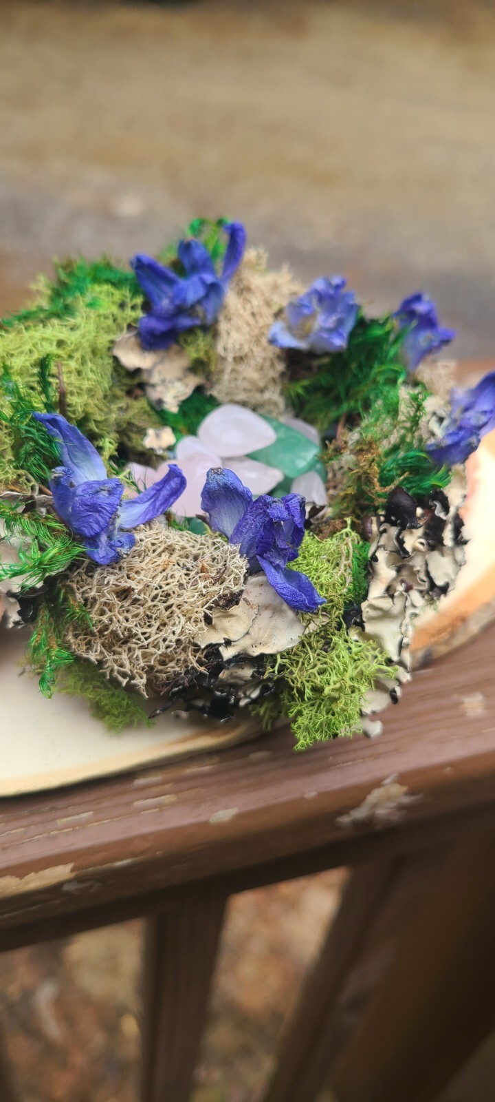 Spring Decor. Bird Nest With Moss Dried Flowers And Crystals. Resting On Wood.