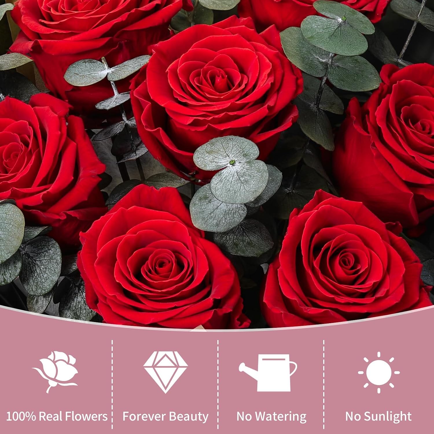 Forever Red Roses Bouquet Preserved Birthday Gift Black