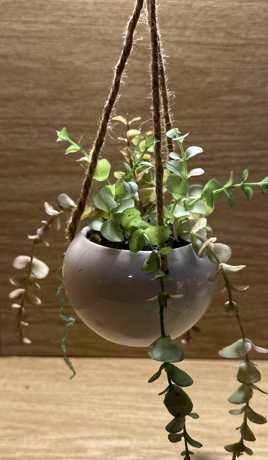 Artificial Faux Plant Hanging White Pot Succulent Green Leaf decor Small Planter