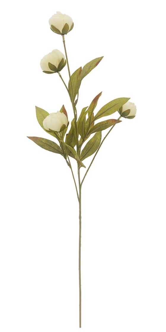 BRAND NEW MICHAELS STORES IVORY PEONY STEMS BY ASHLAND 11 STEMS VIRAL RARE!