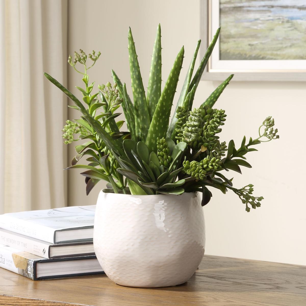 Uttermost 60244 Sundown Succulent Green and White Succulent Accent Planter