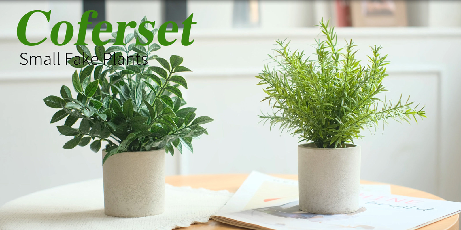 2 Pack Small Fake Plants Eucalyptus Potted Artificial Plants for Shelf Desk