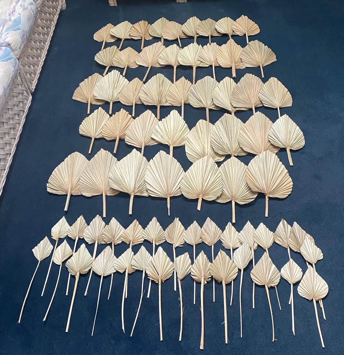 Lot Of 72 Dry Palm Leaves Natural Home Wedding Decor Boho, 42 Large, 30 Small