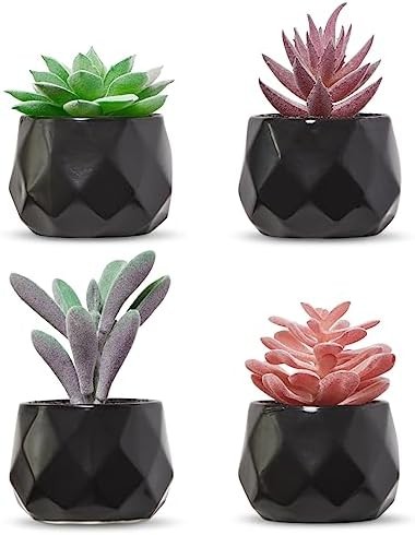 Nordik Set of 4 Desk Plants – Geometric Round Black Pots – Perfect for Bathroom,