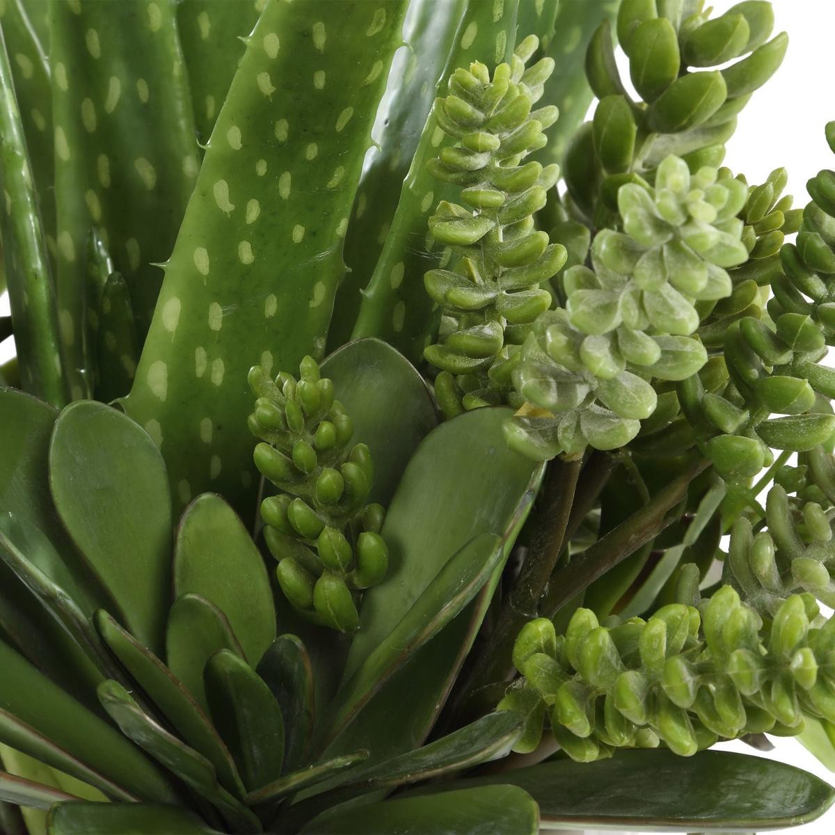 Uttermost 60244 Sundown Succulent Green and White Succulent Accent Planter