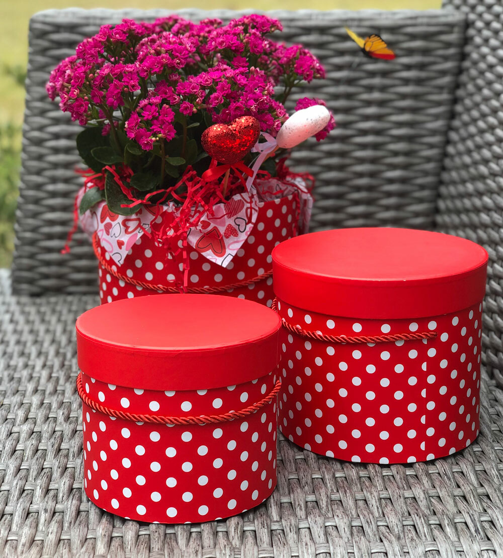 Premium Quality Round Flower Box, Floral Gift Box, Set of 3 pcs, with Lids