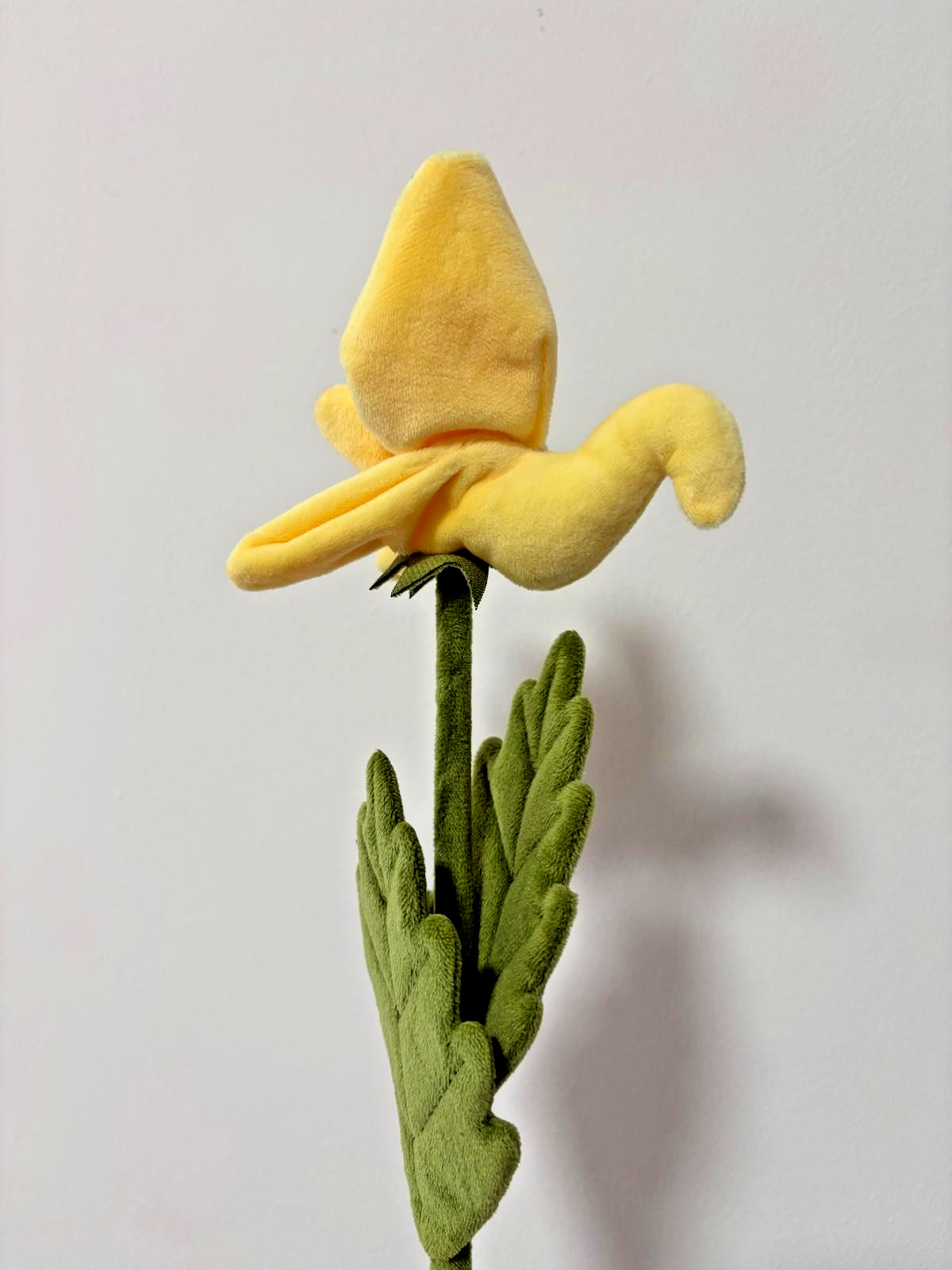CJ Hendry Hong Kong Native – Yellow Bird Balsam Flower