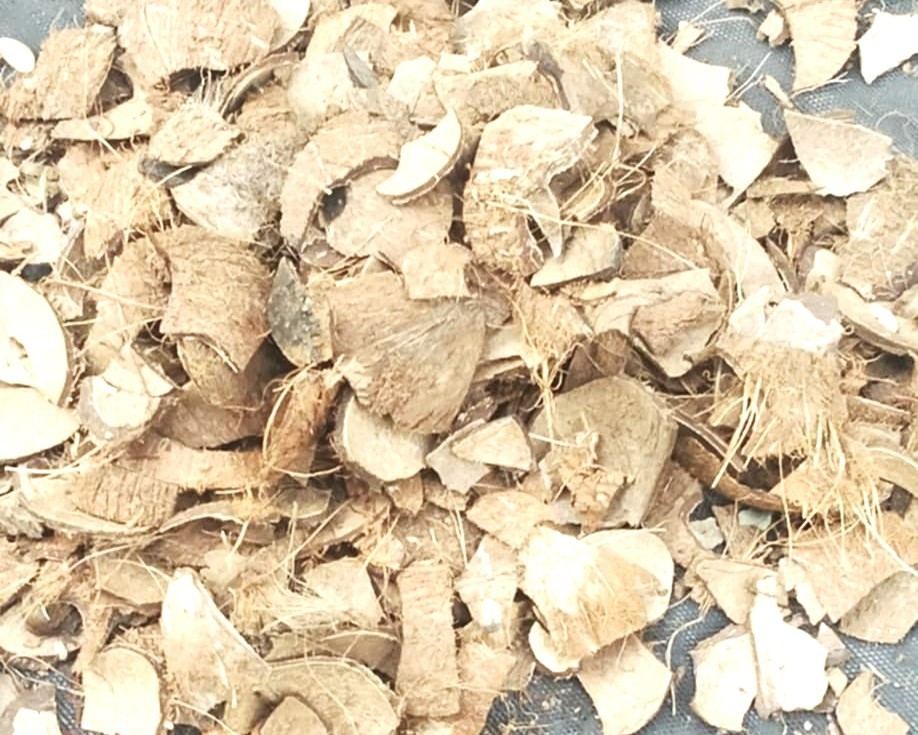 Natural Coconut Shell Chips – Eco Mulch, Craft & Reptile Bedding, Sustainable!