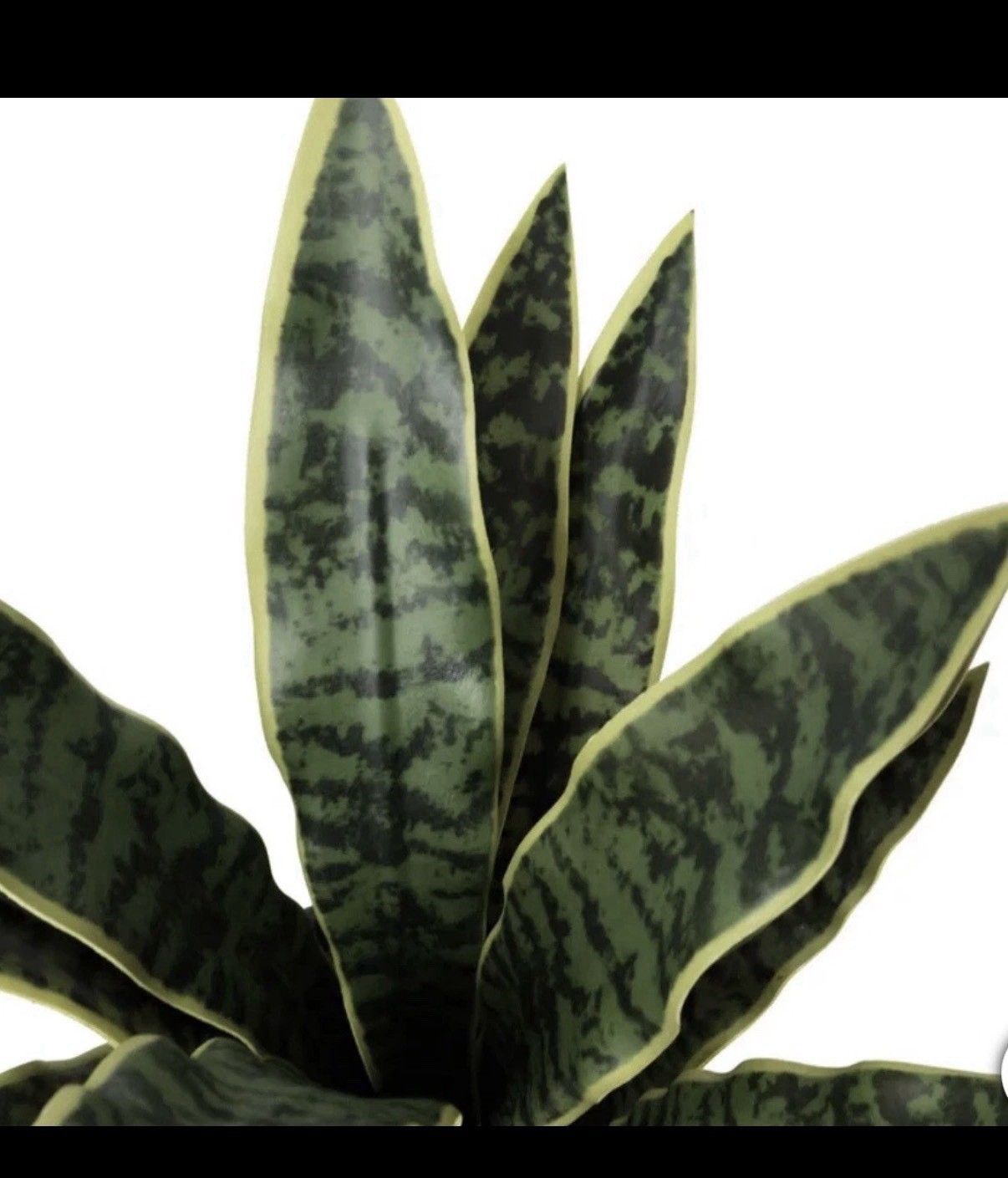 CGH Faux Decorative Plant Trio Indoor Greenery Home Office Decor NEW