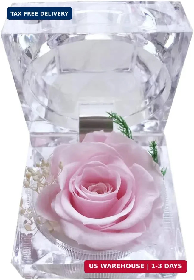 Preserved Rose Real Forever Rose in Mini Clear Ring Box, Eternal Flower Rose Gif