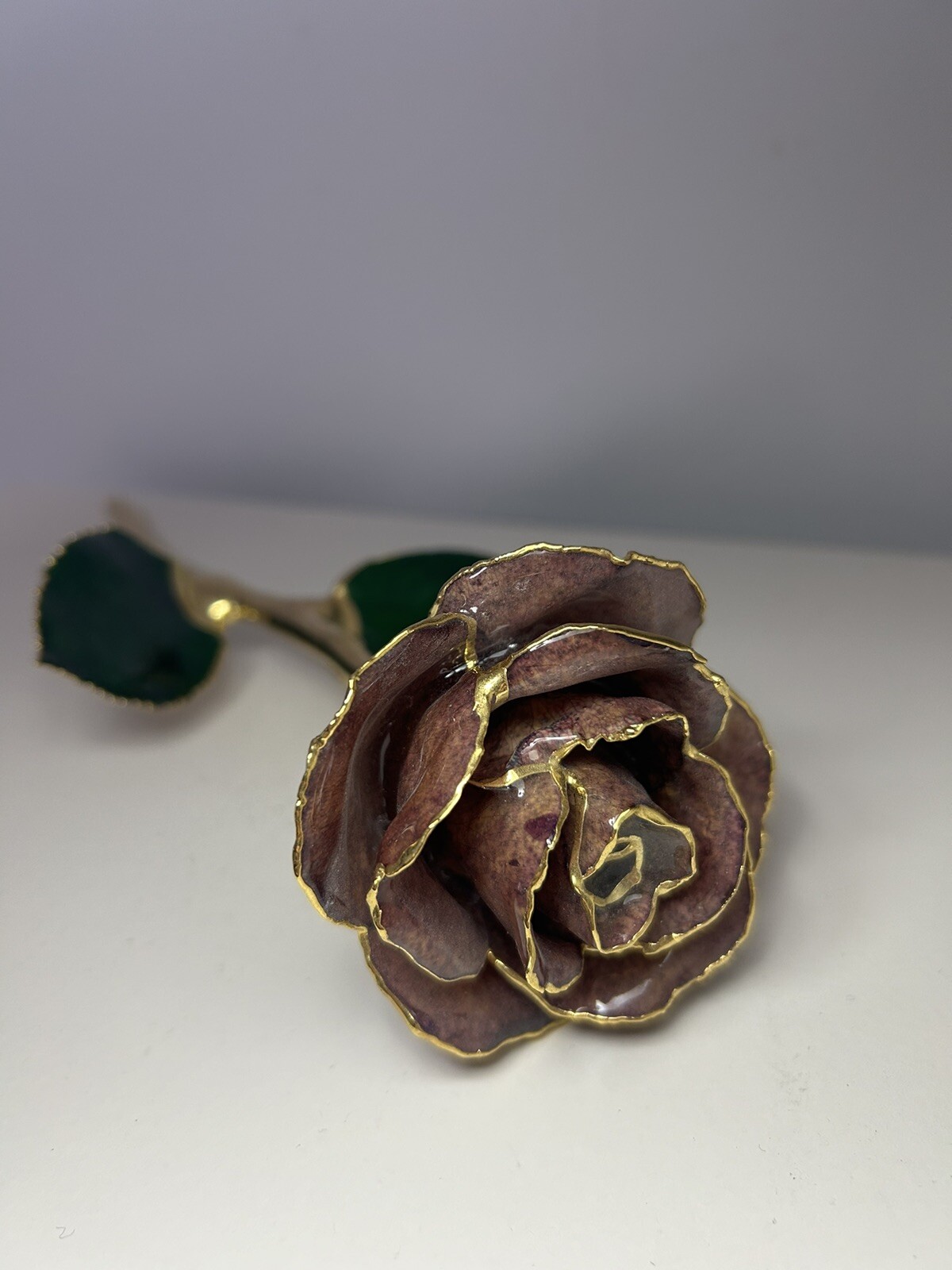 Luxury Lacquered Cream Eternal Pink Rose with Gold Trim
