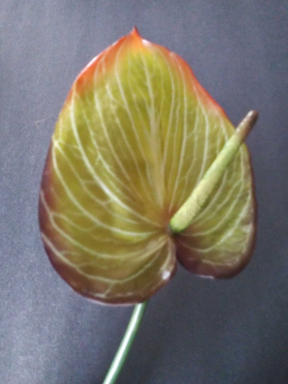 22″ Anthurium stem. Silk flower floral arrangements tropical Hawaiian flowers