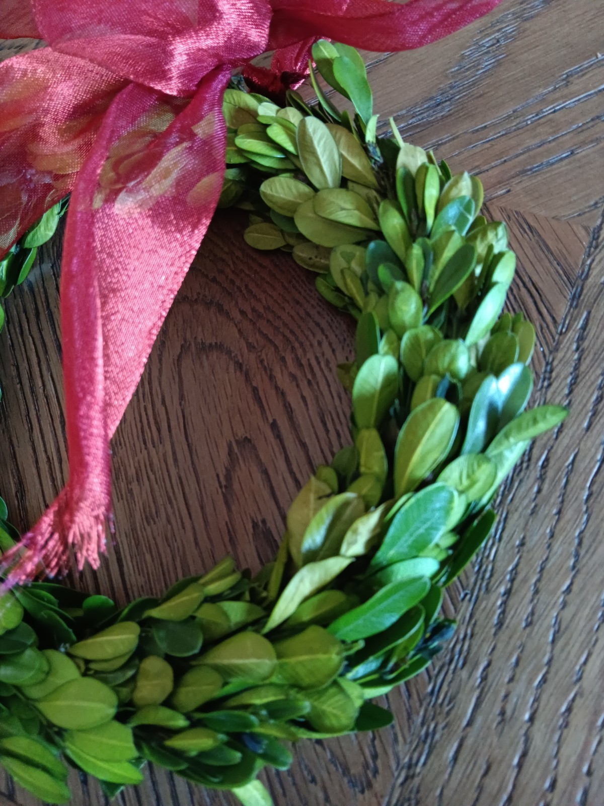 Preserved Boxwood Wreath 7″ Swiss Colony Box RARE