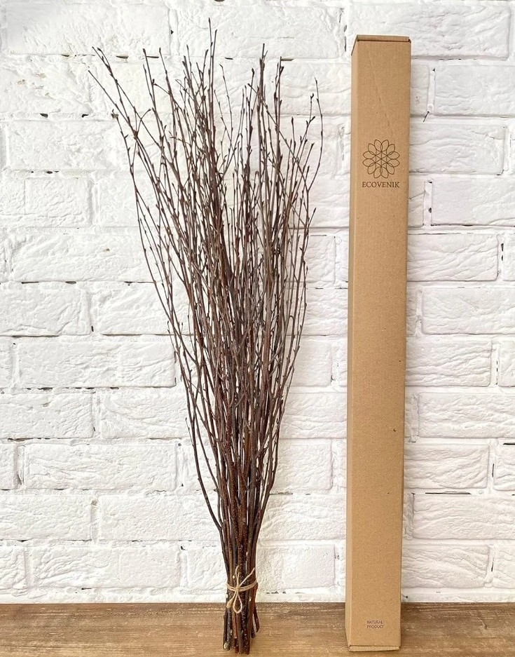 ECOVENIK 25 psc – Branches – 73 cm, Natural Birch Twigs, Pack of 20-25 Stems