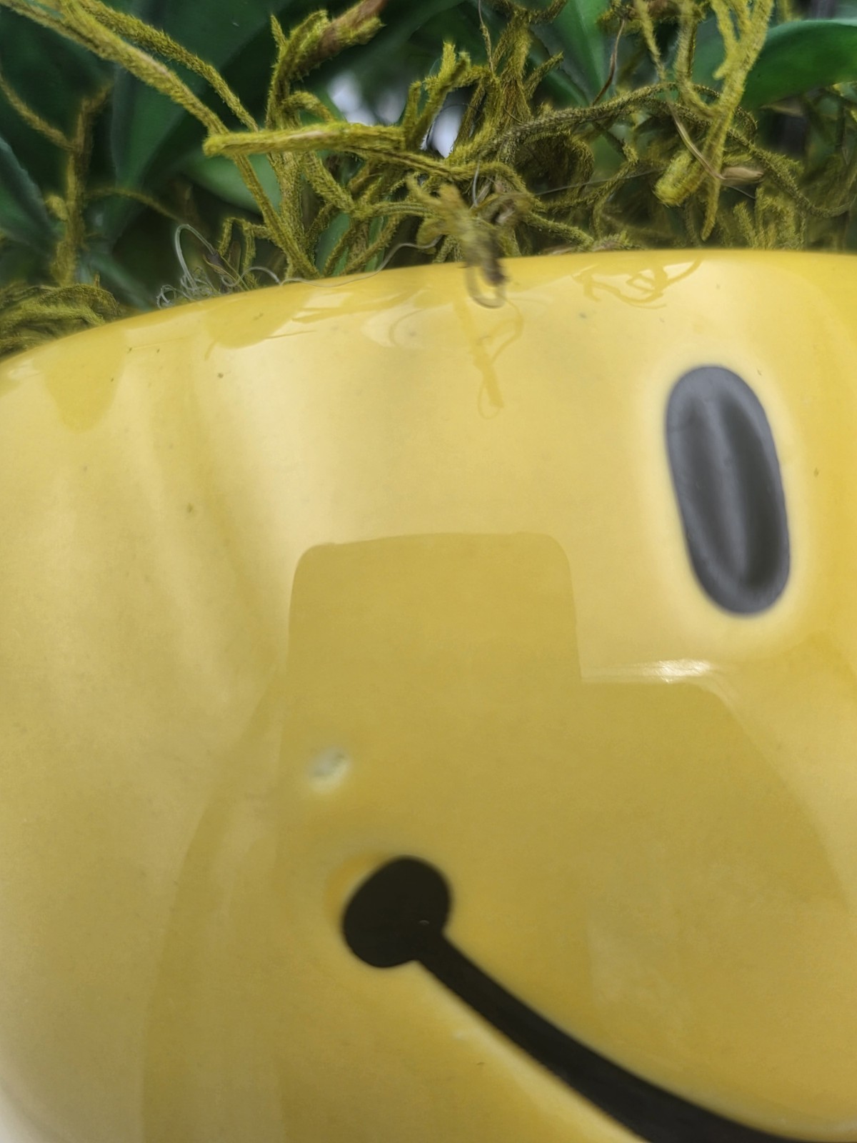 SMILEY FACE BRIGHT YELLOW CERAMIC CUP WITH LEMON TREE FLORAL ARRANGEMENT