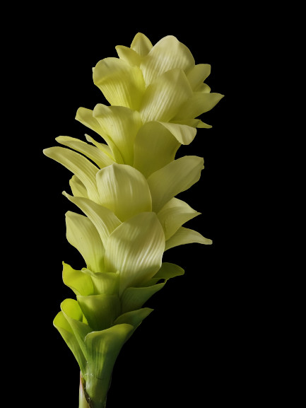 Ginger lily stem. Silk arrangements tropical Hawaiian flowers Lime Green