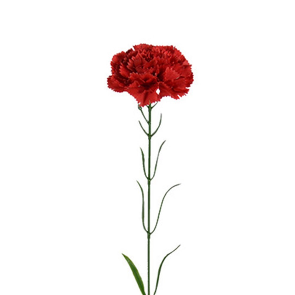 8CM Silk Carnation Flower Beautiful Decoration for Home Office and Events