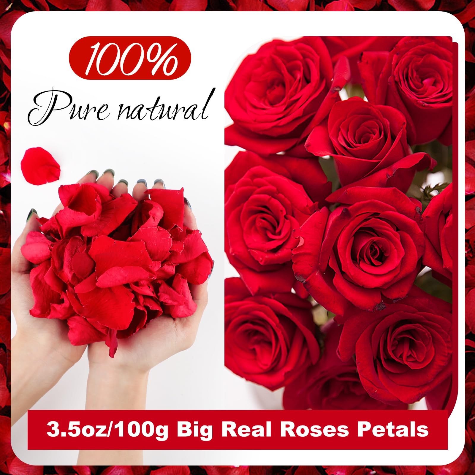 100g 3.5oz Real Red Dried Rose Petals Freeze Preserved Confetti Valentine