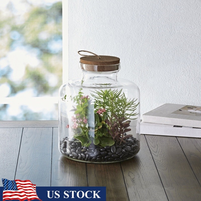 Medium Glass Terrarium Indoor Outdoor Plant Display Succulents Cacti Air Plants