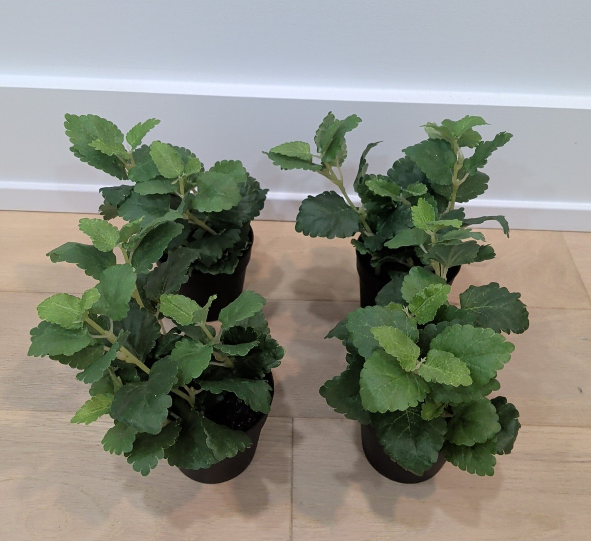 SET LOT OF 4 IKEA FEJKA Artificial Faux Fake Potted Plants Herb 302.341.68