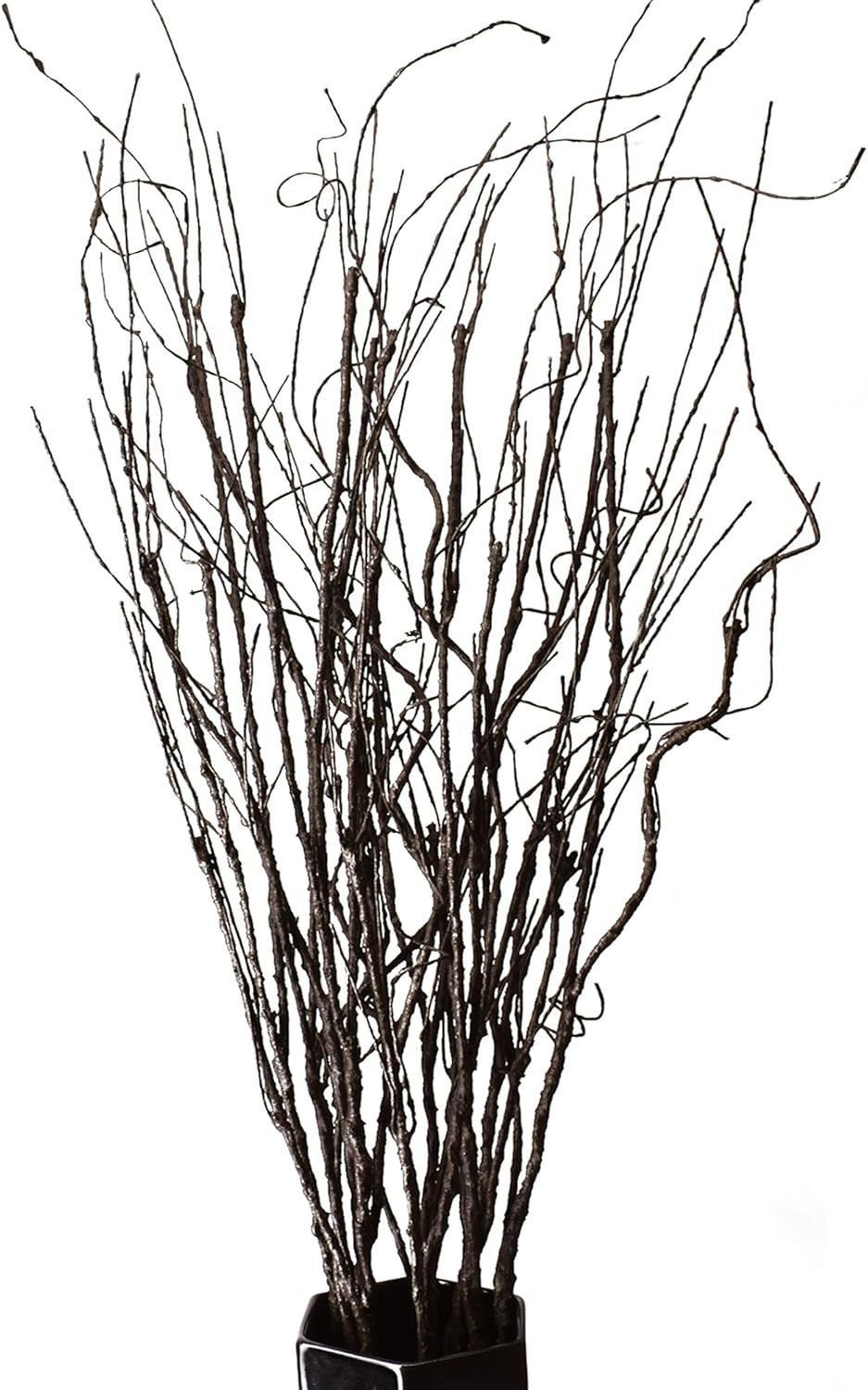 10PCS Lifelike Curly Willow Branches Decorative Dried Artificial Twigs, 30.7 Inc
