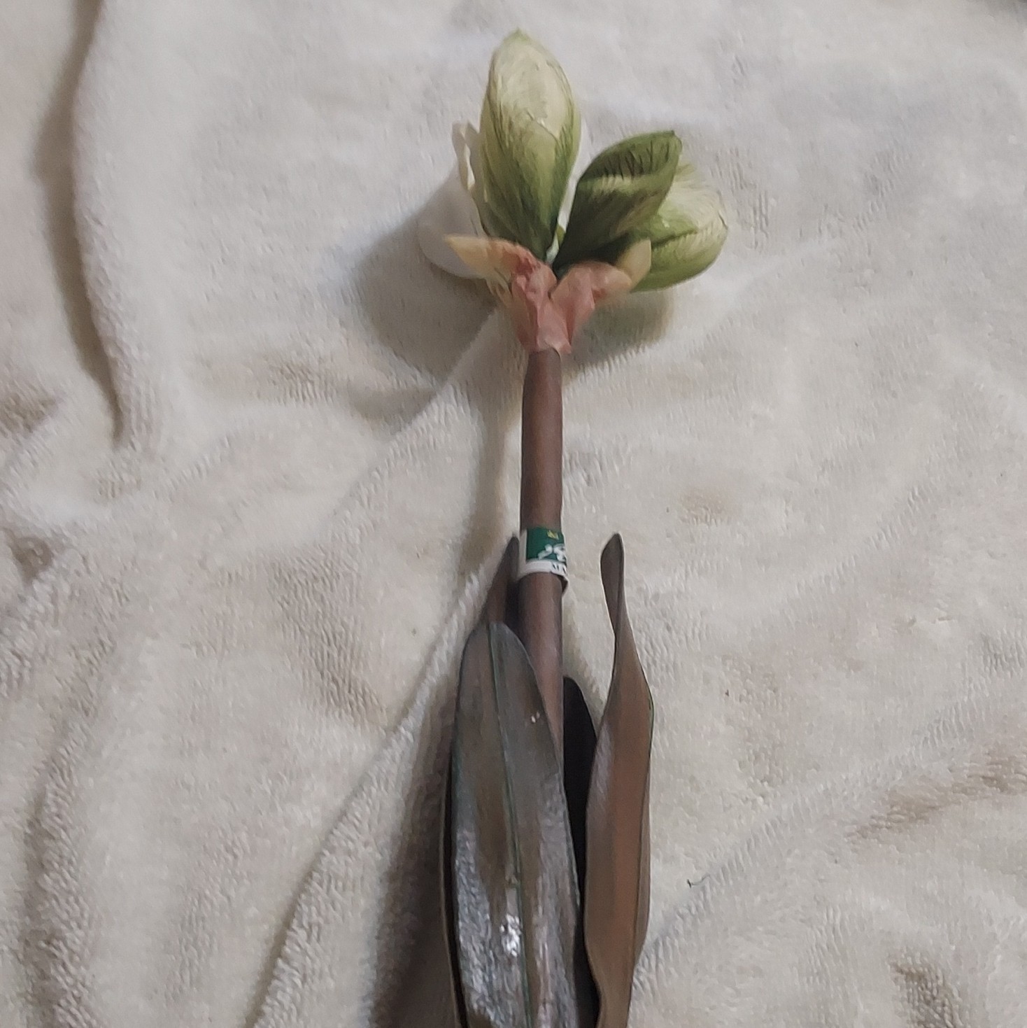 Artificial Flower Stem Twig & Stem Picks Green White Purple Brown