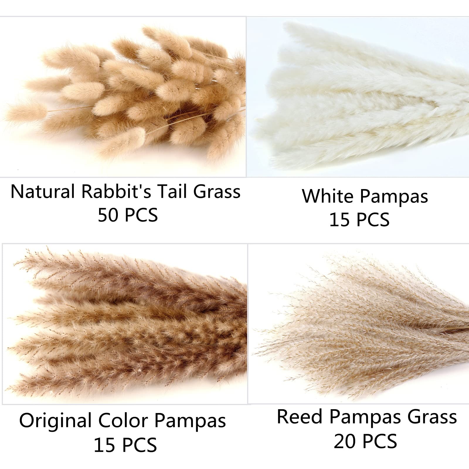 Dried Pampas Grass Decor, 100 Stems 100PCS, White, Brown