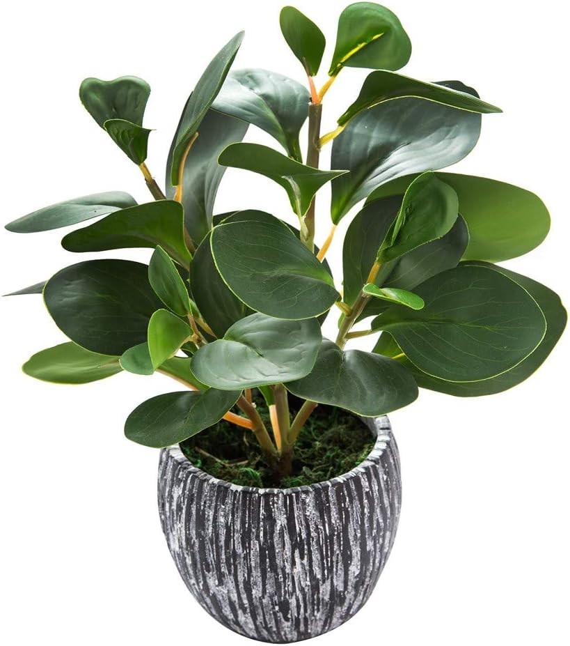 Lifelike Artificial Fiddle Leaf Fig Plant in Rustic Cement Planter – 11.2″ High