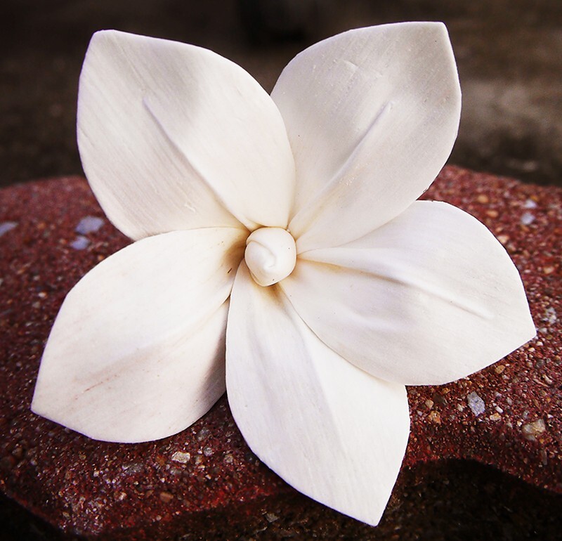 9 Frangipani Artificial Sola Wood Flower Diffuser Flowers 8 cm Dia. For Craft