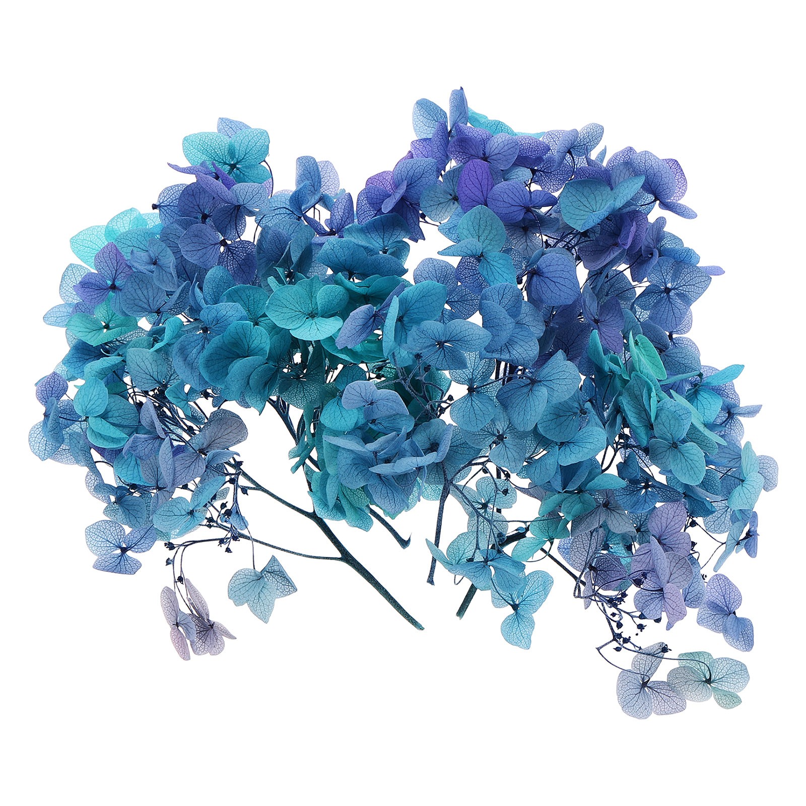 10g Mini Dried Hydrangea Flower Natural Pressed Flower Gradient Blue Purple
