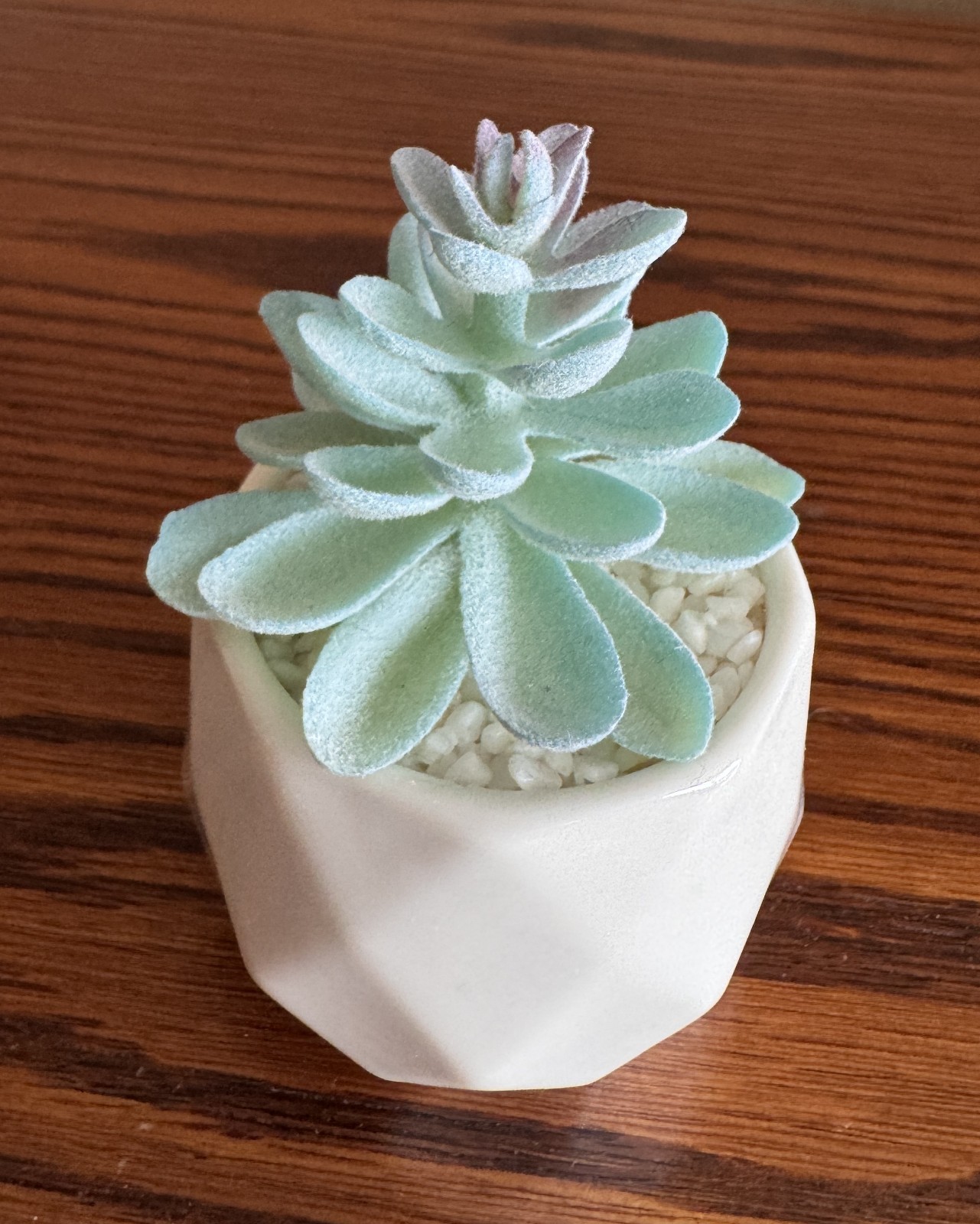 VIVERIE 4-Pack Mini Artificial Succulents ~ Blue Plants w/White Ceramic Pots NEW