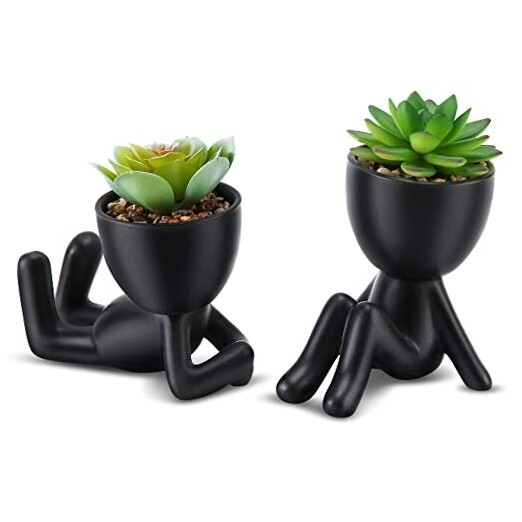 Fake Succulent, Mini Succulents Plants Black Ceramic Pot a Green Succulent