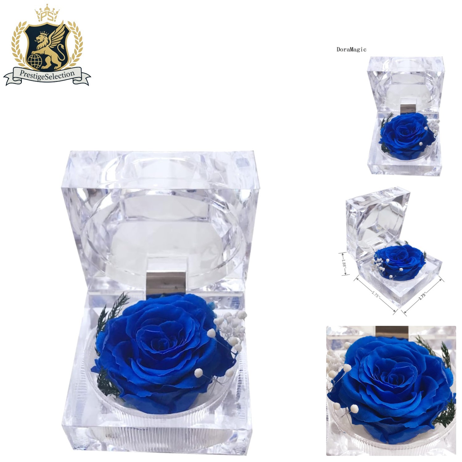 3-5 Lasting Blue Rose in Acrylic Box – Romantic Gift for Special Occasions