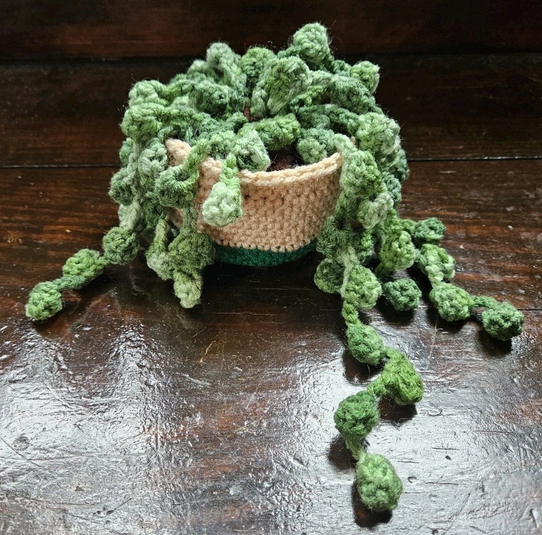 Crochet Home Office Plant Plushie String Of Pearls Succulent Handmade Art Gift