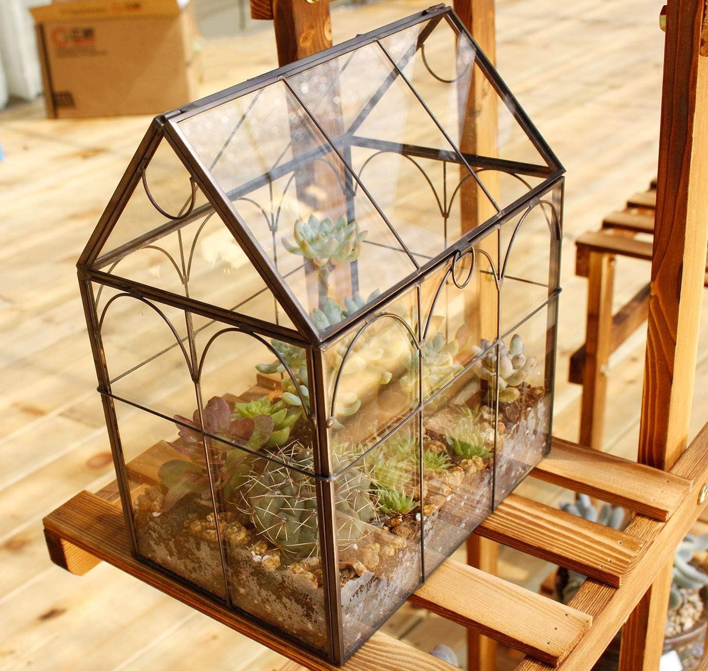 Glass House Geometric Terrarium for Plants