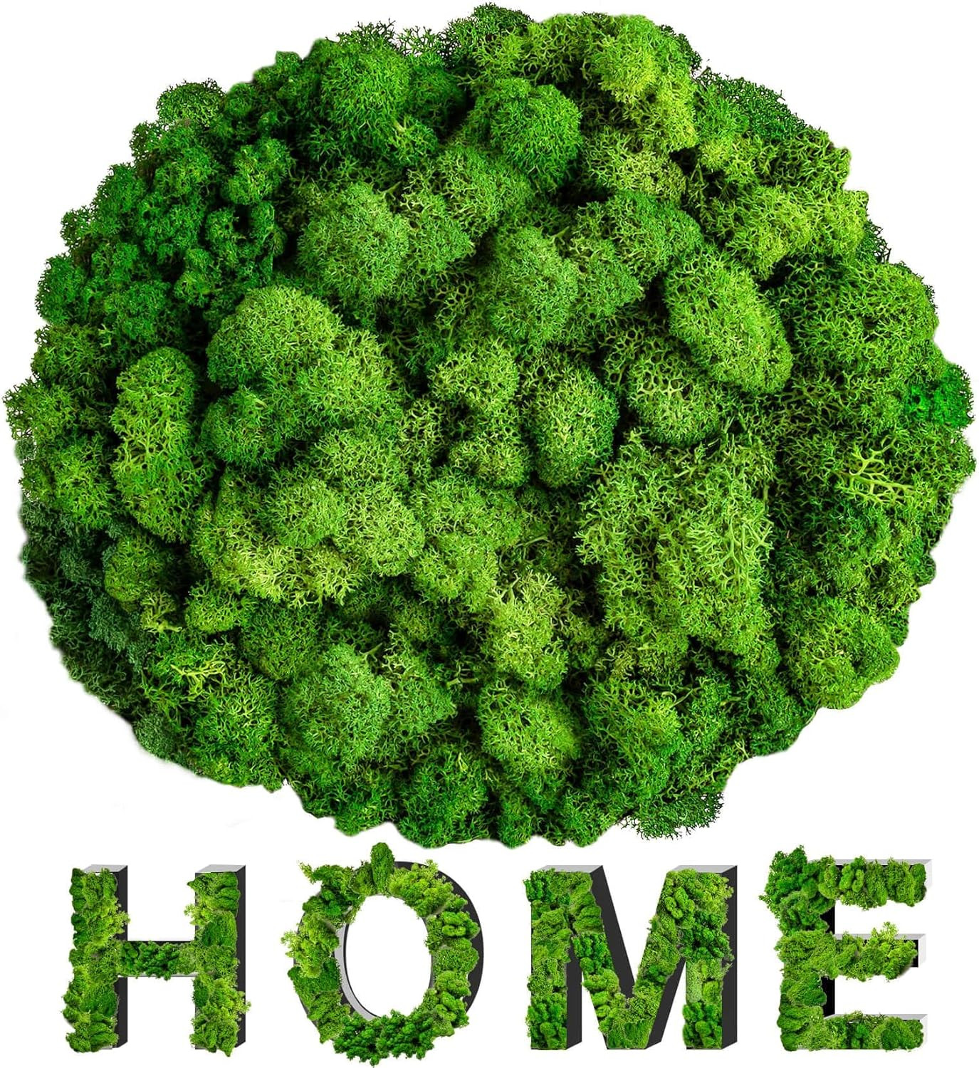 3.5 OZ Preserved Moss Natural Green Faux Moss for DIY Crafts Floral Decor