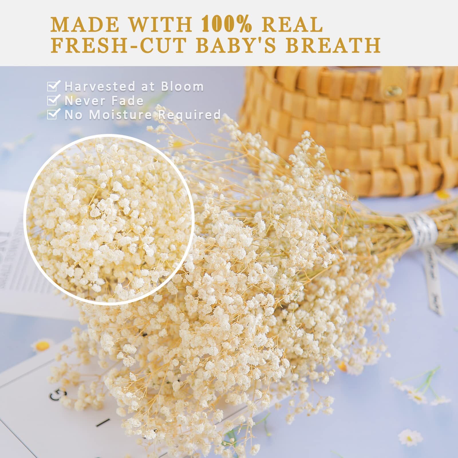3000+ Driedbabysbreathbouquet17.2 Inch Ivory White Dried Flowers Natural Gypsoph