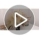 75Pcs Dried Pampas Grass Decor Set Boho Floral Arrangement White Brown 17.5 Inch