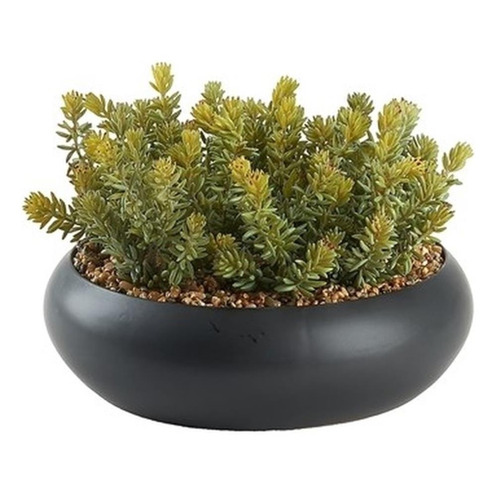 Pemberly Row Contemporary Flocked Succulents in Black Simply Low Bowl