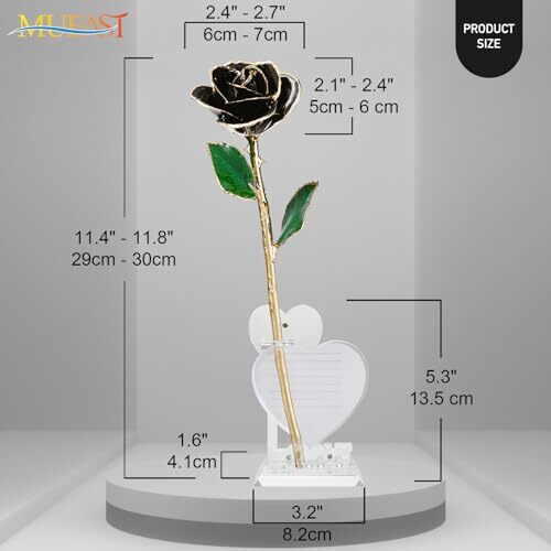 24K Gold Rose Birthday Mother’s Day Valentine’s Day for Mom Daughter Black