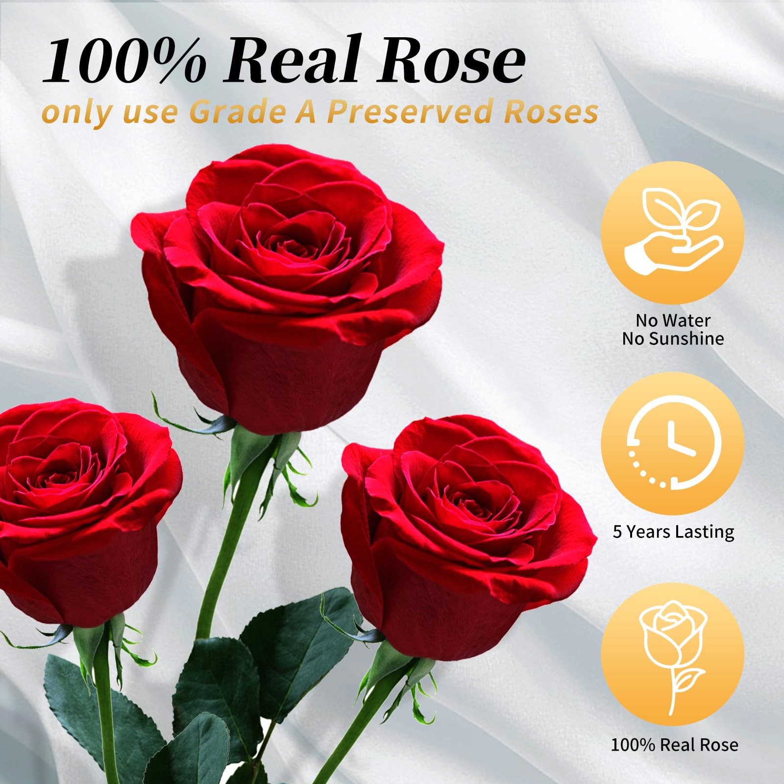 White Forever Flowers Roses In Box Real Preserved Valentines Mothers Day