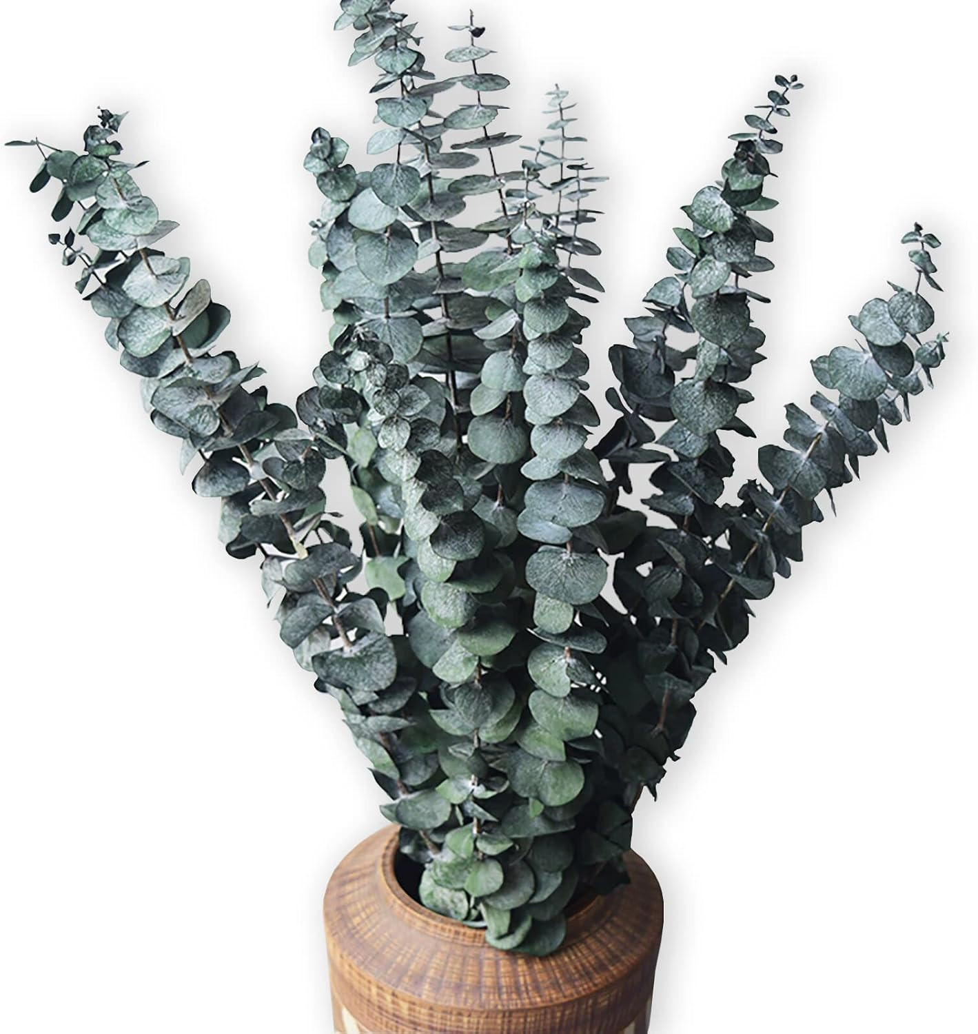 Eucalyptus for Shower 10 Pcs Hanging Dried Eucalyptu Stems 17″ Real Eucalyptus B
