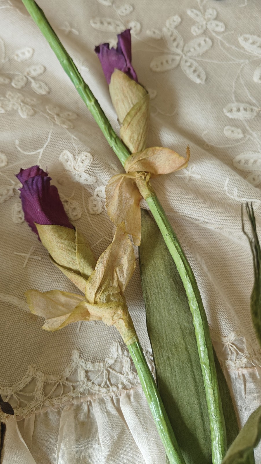 2 Large Stemmed Stems Iris And Magnolia Realistic