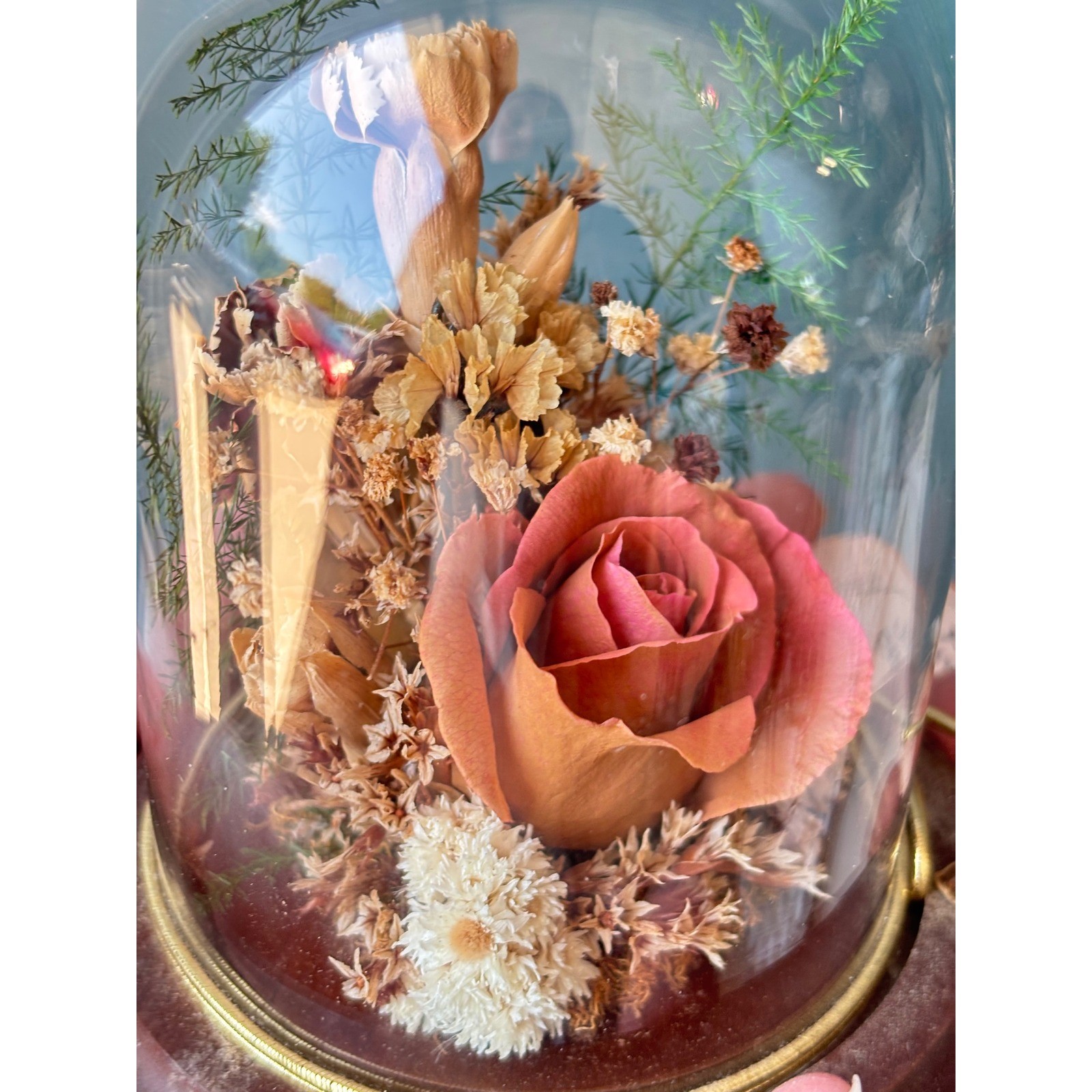 Natural Expressions Dried Flower Glass Cloche Wood Base Preserved Pink Rose 5in