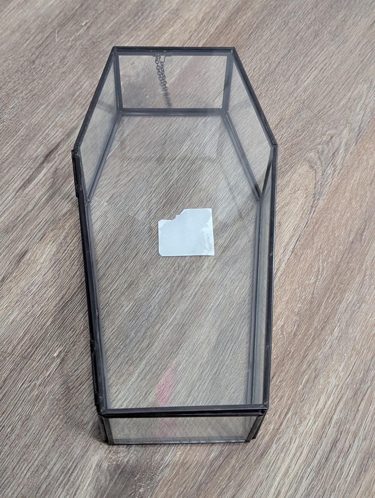 Glass Halloween 9.75″ Terrarium Medium Coffin by Ashland NEW