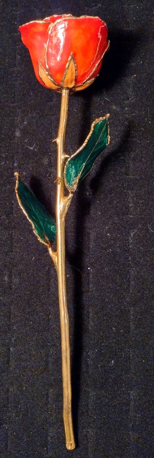 Gold Dipped Rose 24 K Beauty That Lasts Forever With Out The Box