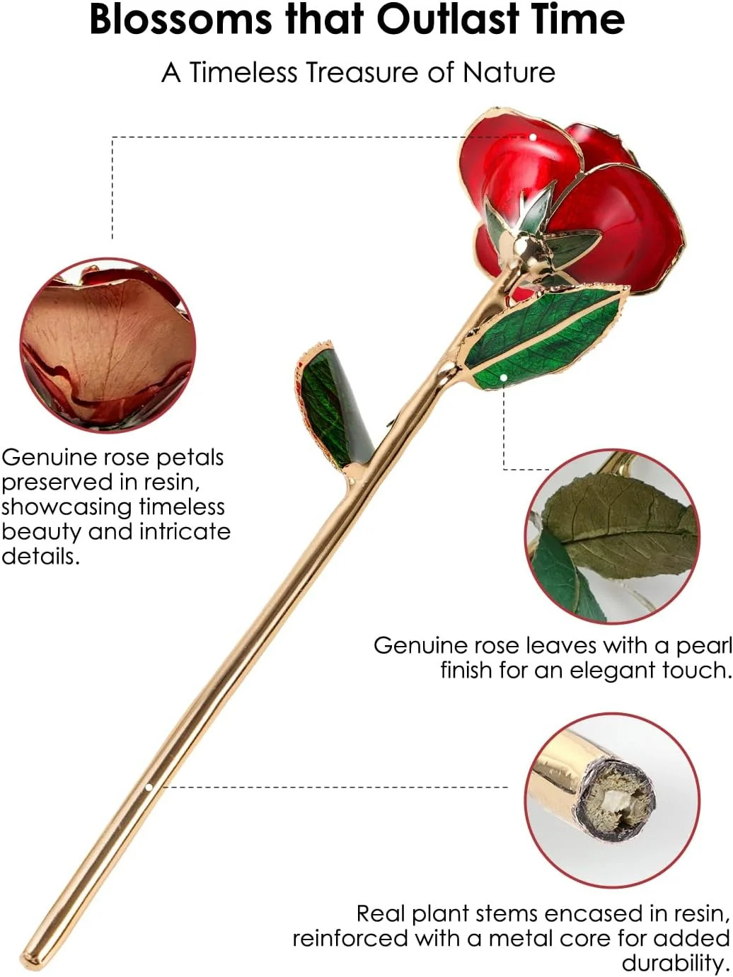 Gold Dipped Rose – Hand-Dipped Real 24K Gold Rose – Genuine One of a Kind – Eter